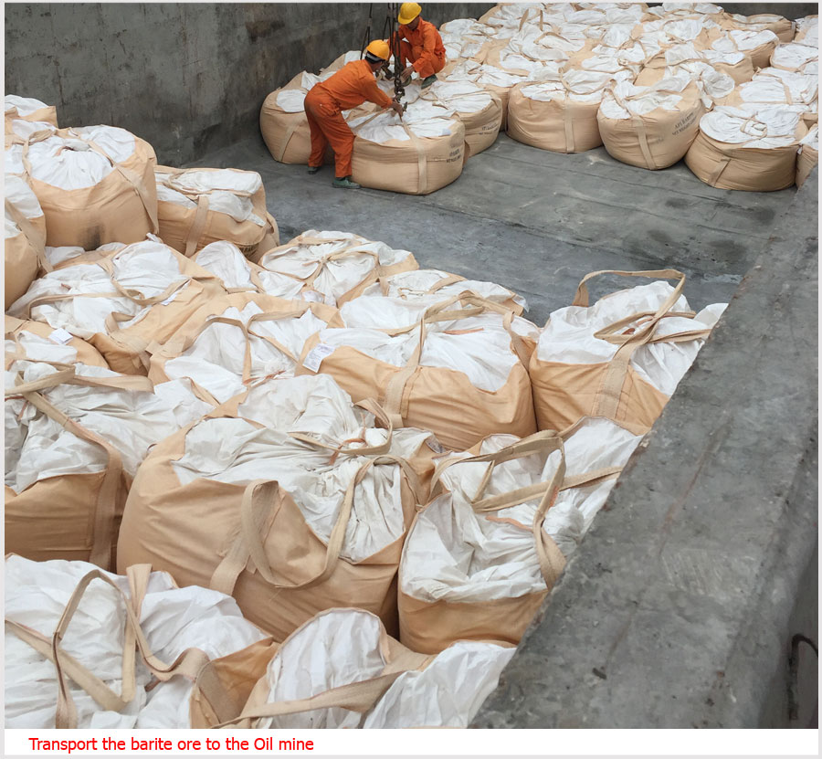 Bulk cargoes